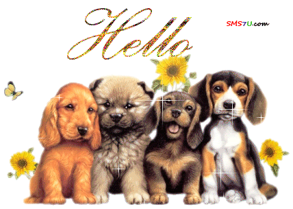 Hello Scraps