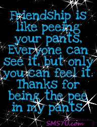 Friendship Scraps